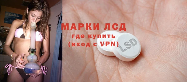 сатива Кулебаки