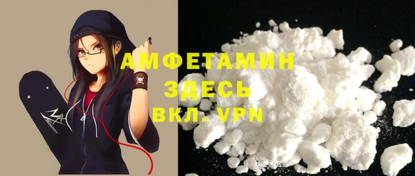 сатива Кулебаки