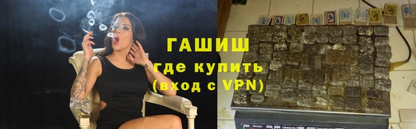 сатива Кулебаки