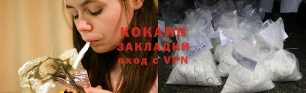сатива Кулебаки
