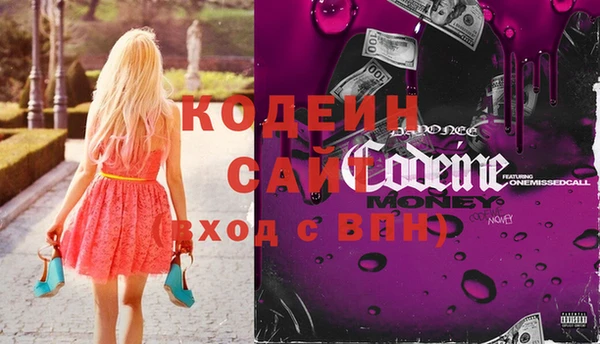 сатива Кулебаки