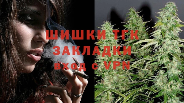 сатива Кулебаки