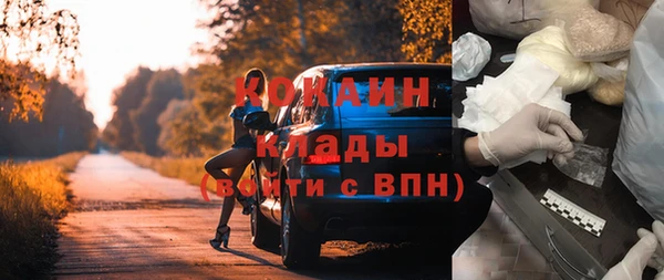сатива Кулебаки